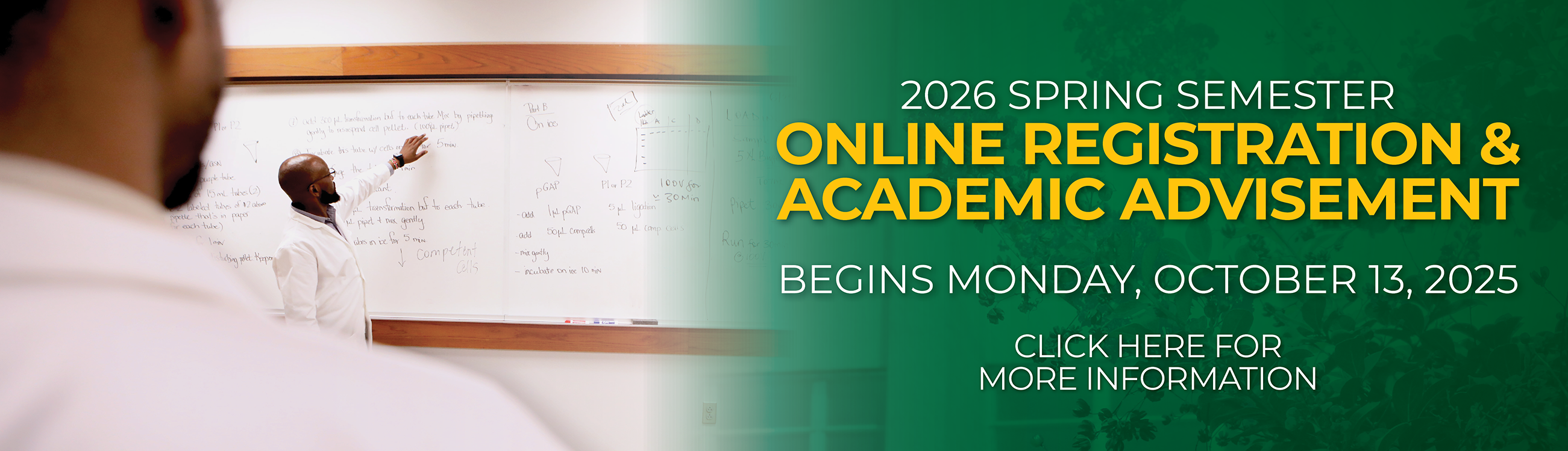 2026 Spring Semester Online Registration